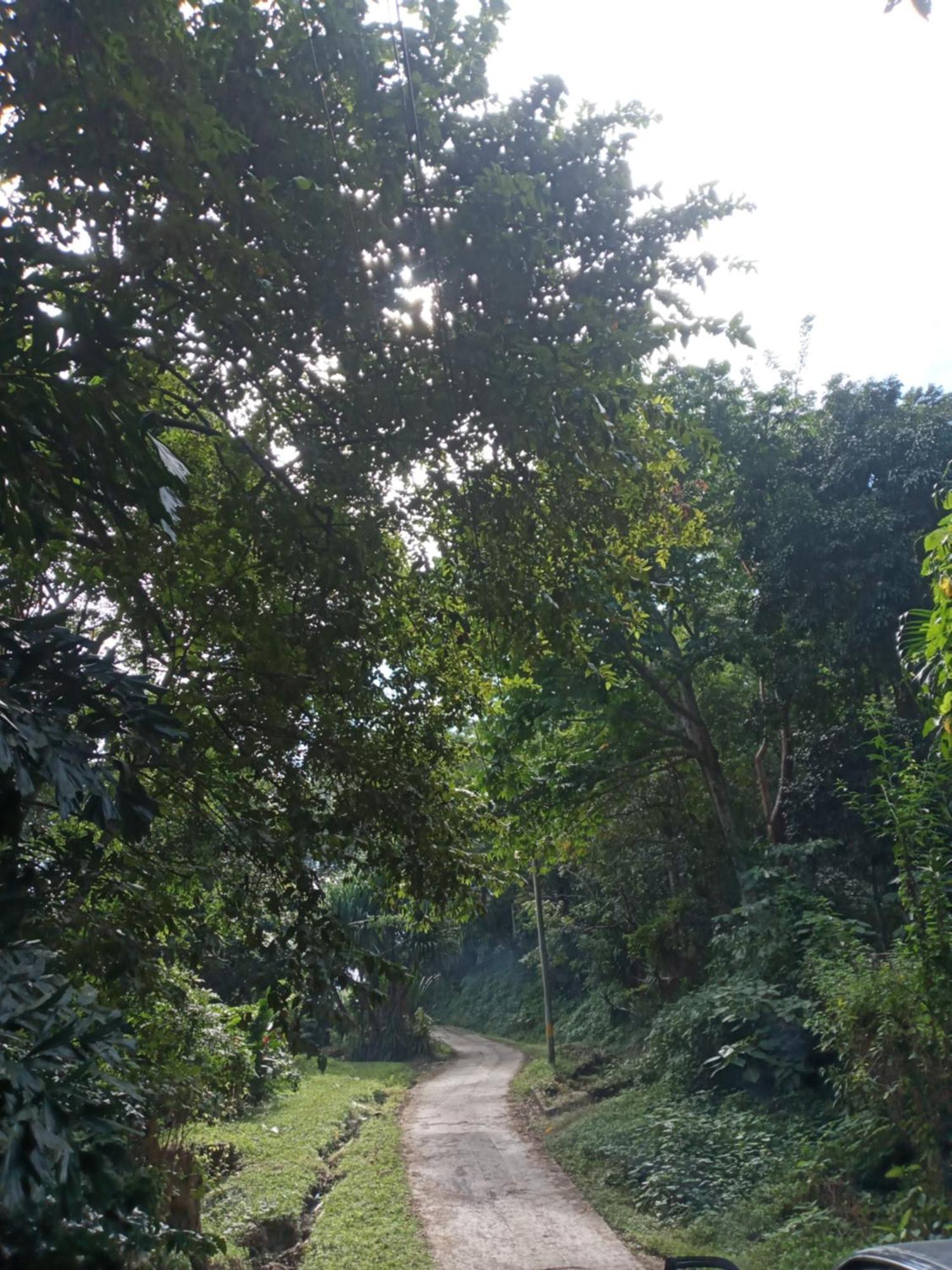 Hostal Juan Lindo San Pedro Sula Exteriör bild