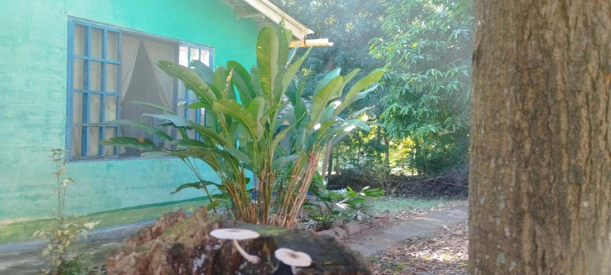 Hostal Juan Lindo San Pedro Sula Exteriör bild